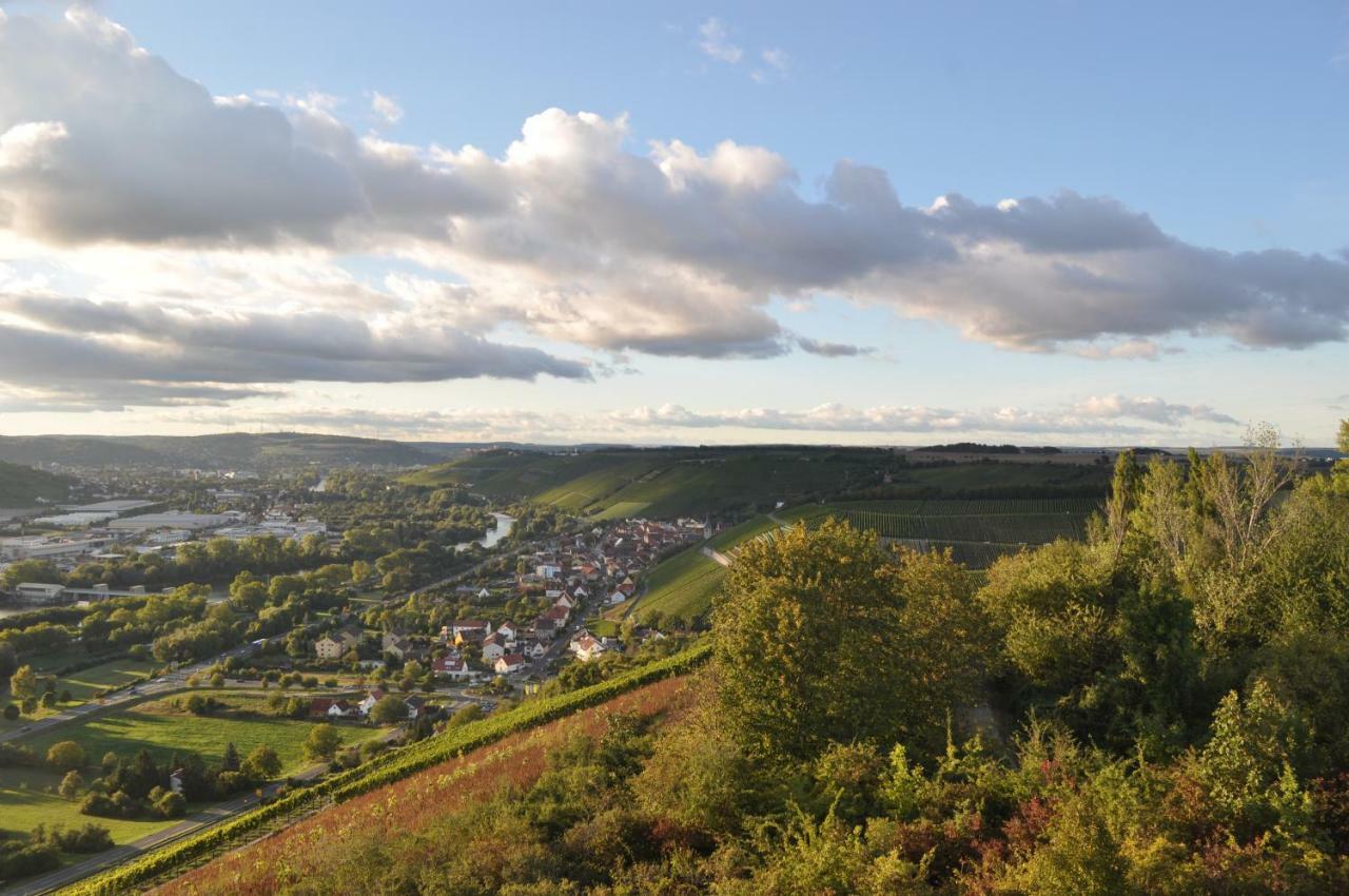 Ferienwohnung, Weingut Trockene Schmitts Рандерсаккер Экстерьер фото